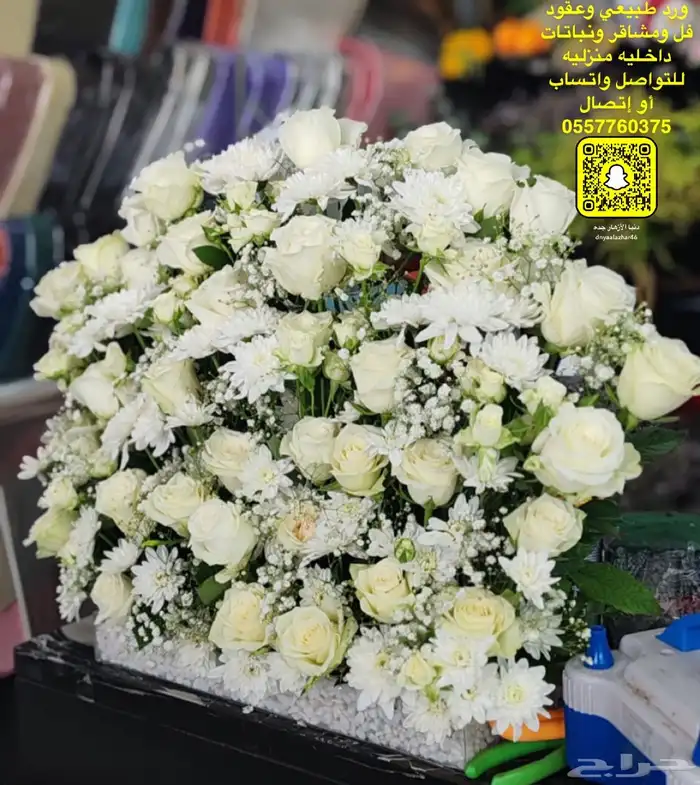 دنيا الأزهار لبيع الفل البلدي والورود الطبيعيه 7