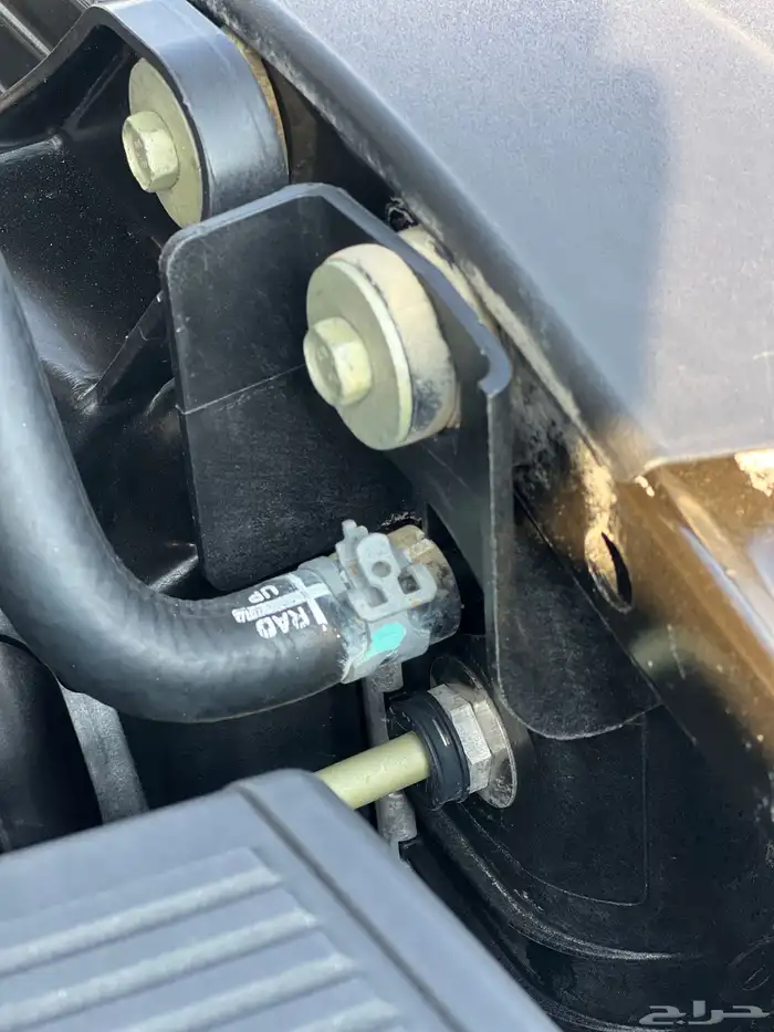 دينالي 2014 تم البيع 20