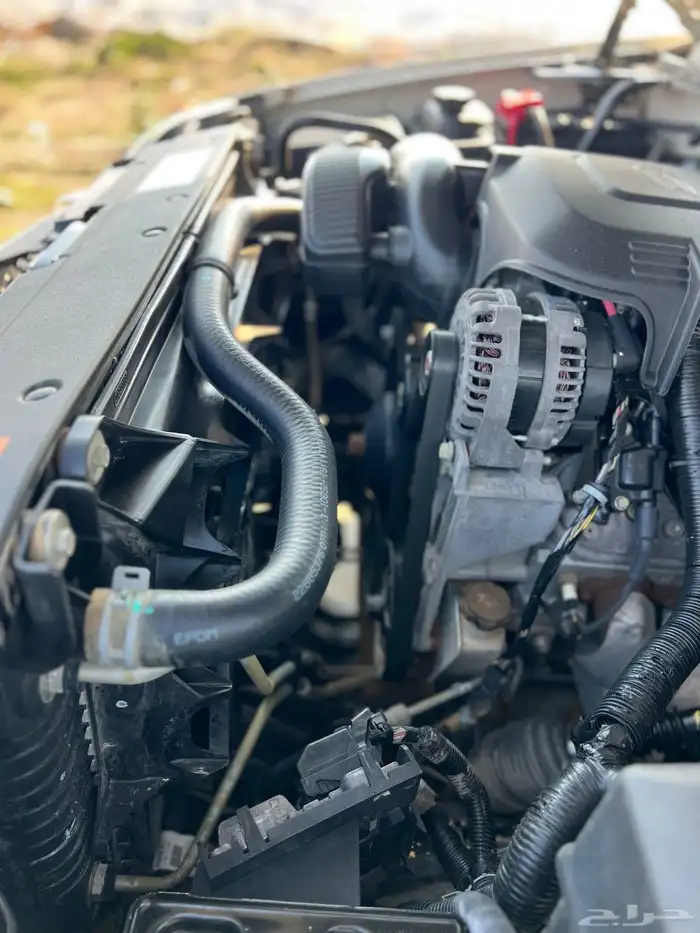 دينالي 2014 تم البيع 16