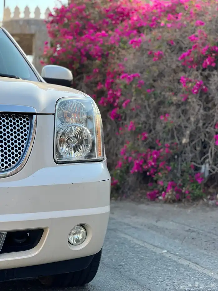 دينالي 2014 تم البيع 12