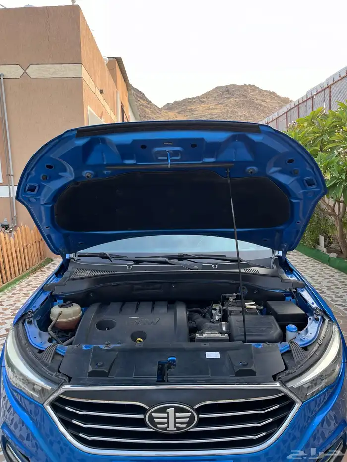 فاو 2021 38