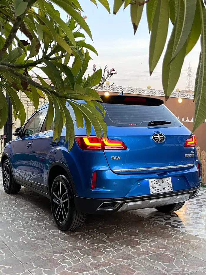 فاو 2021 3