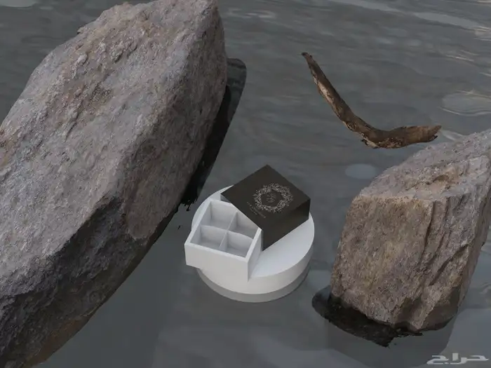 تصميم لوقو على حسب الطلب وباسعار رمزيه جدا 4