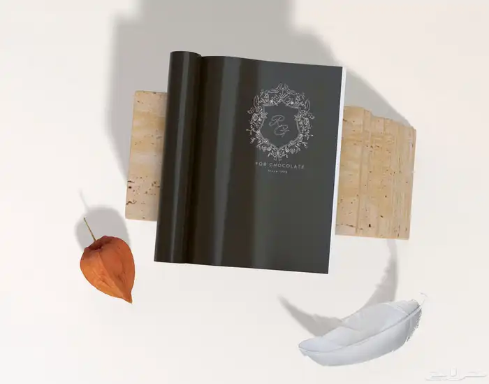 تصميم لوقو على حسب الطلب وباسعار رمزيه جدا 3