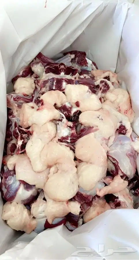 ذبايح للبيع مع خدمة الذبح والتوصيل 9