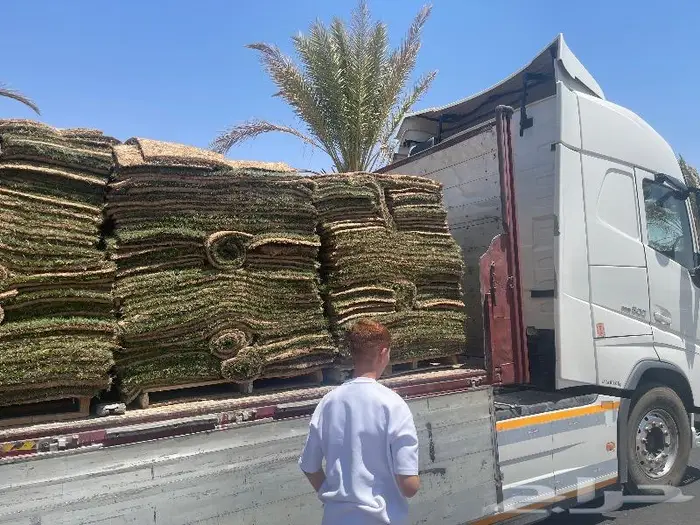 نجيل طببعي 3