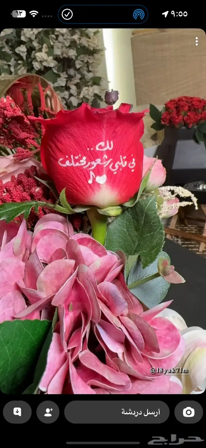 خطاط الشرقية نحت   خط   حرق 26