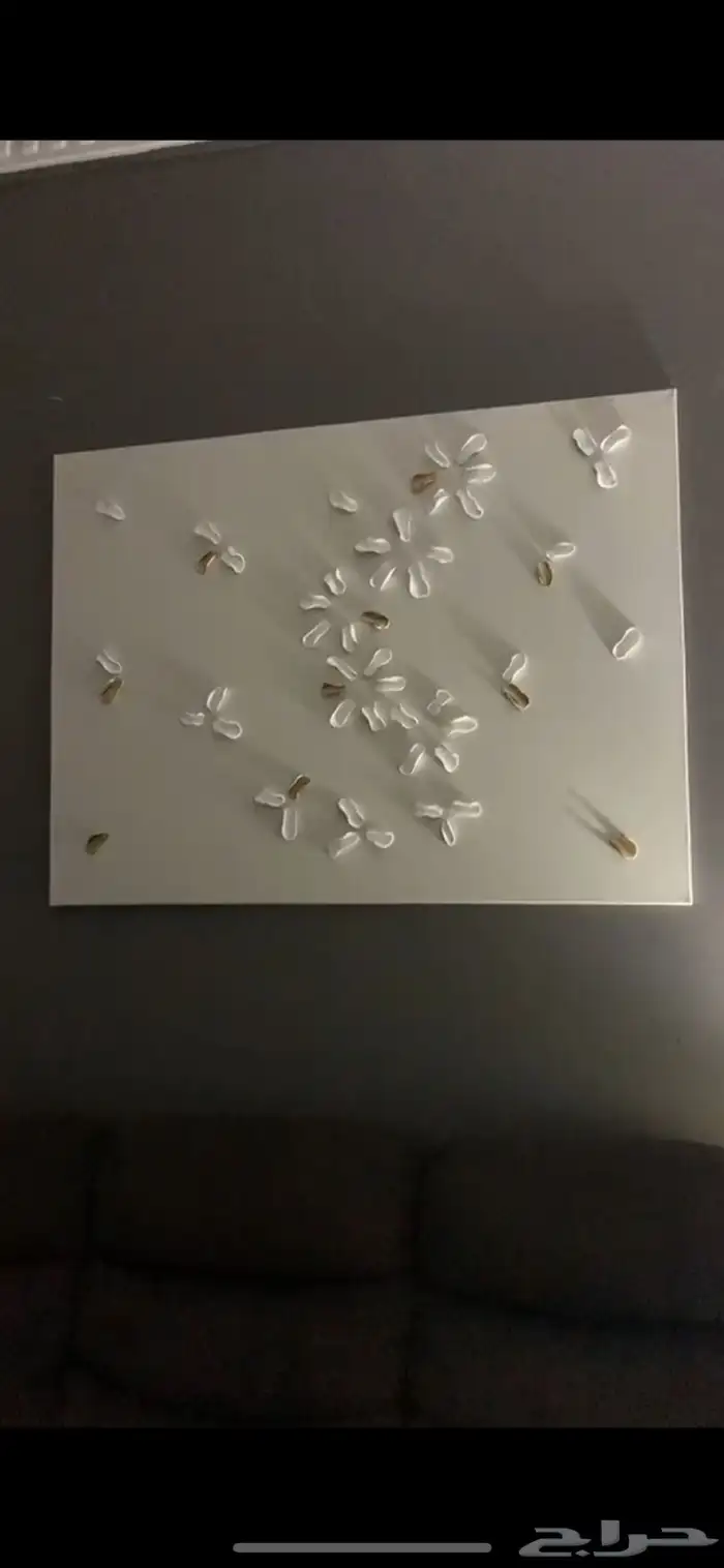 لوحات جداريه 3