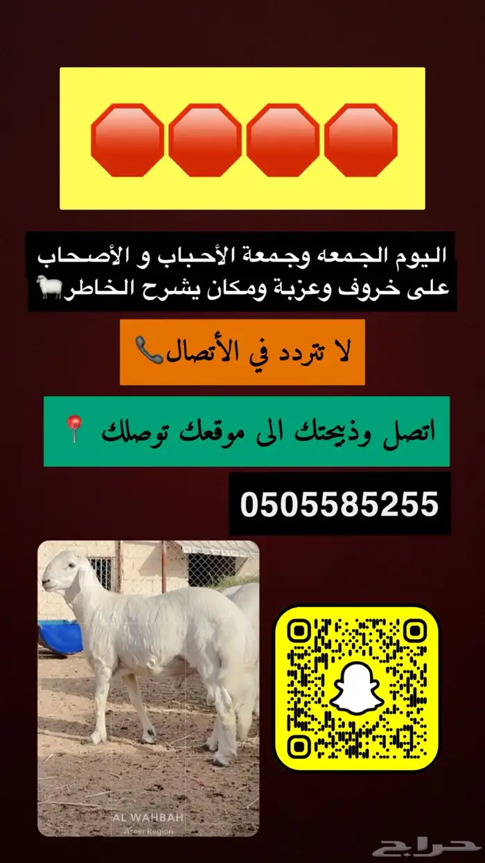 خرفان بجميع أنواعها معا الذبح والتوصيل 0