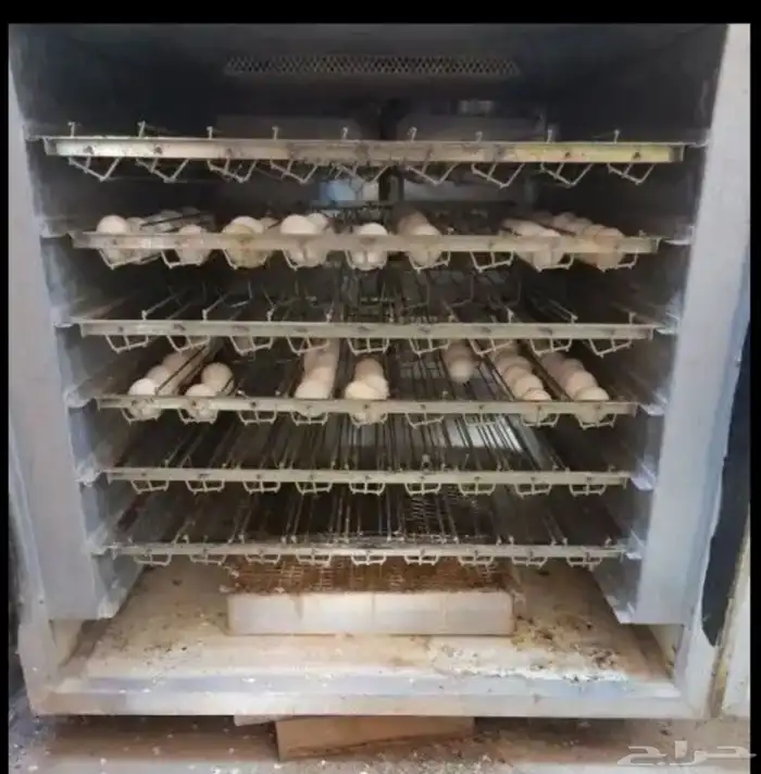 للبيع فقاصه ايطاليه 0