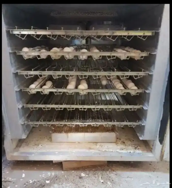 للبيع فقاصه ايطاليه 2