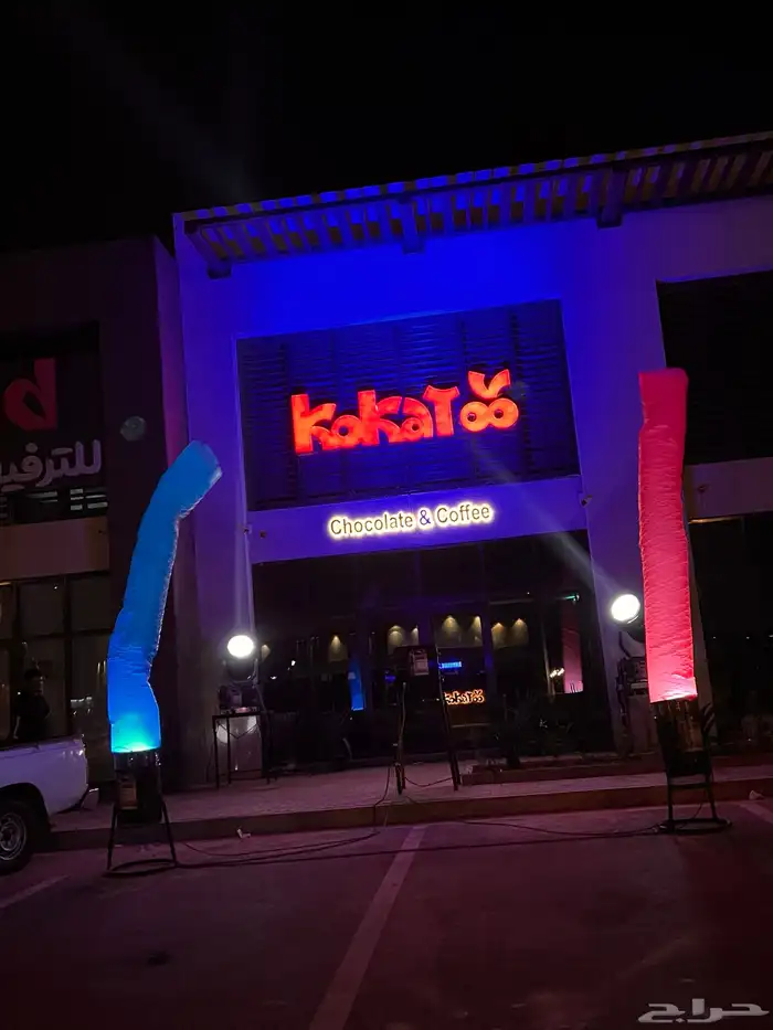 Laser dancing balloons  balloons  shop opening balloons 7