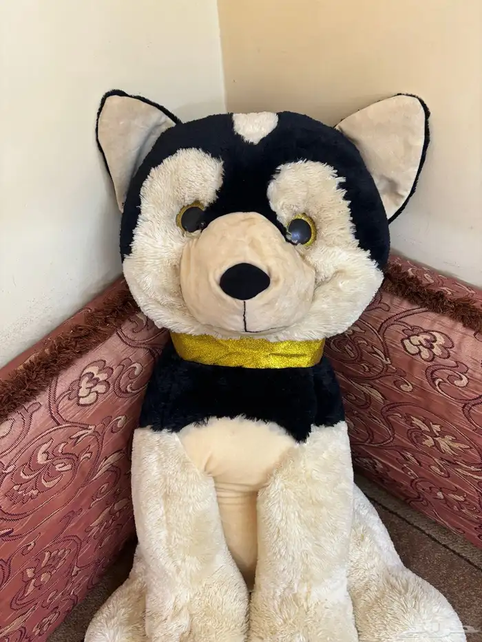 دميه ونترلاند 0