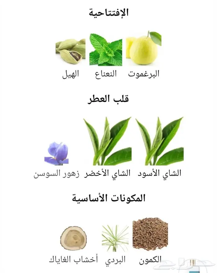 ( مباع )عطر اتيليه فليتر سيلان 5