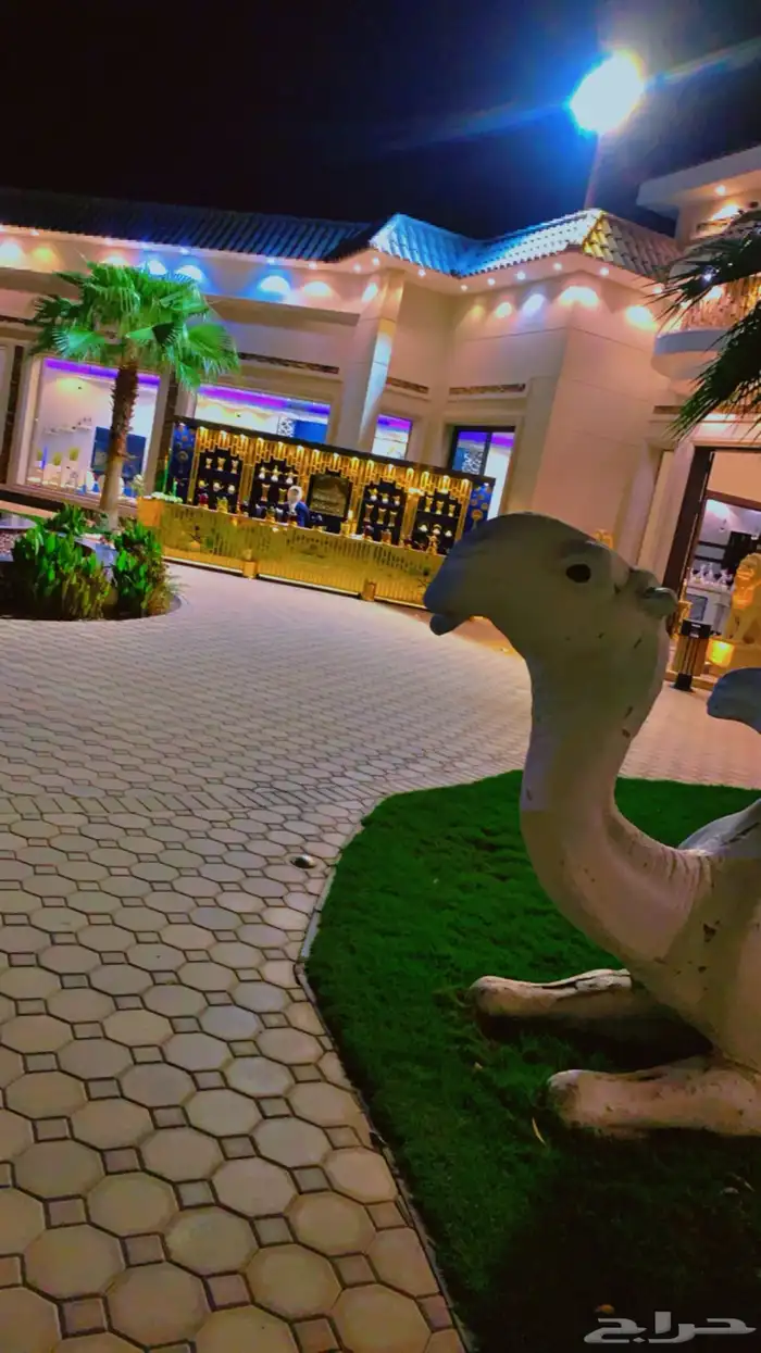 ركن ضيافة مهيلة الفخامه يرحب بكم 13