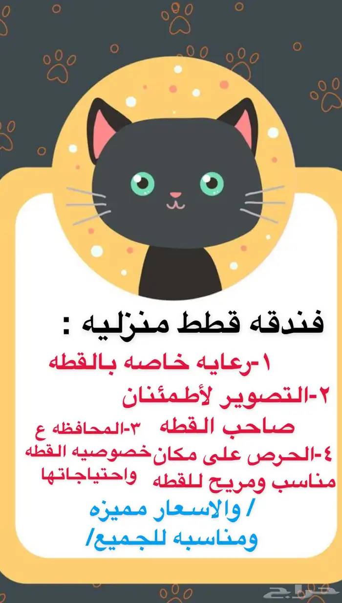 فندقه قطط 0