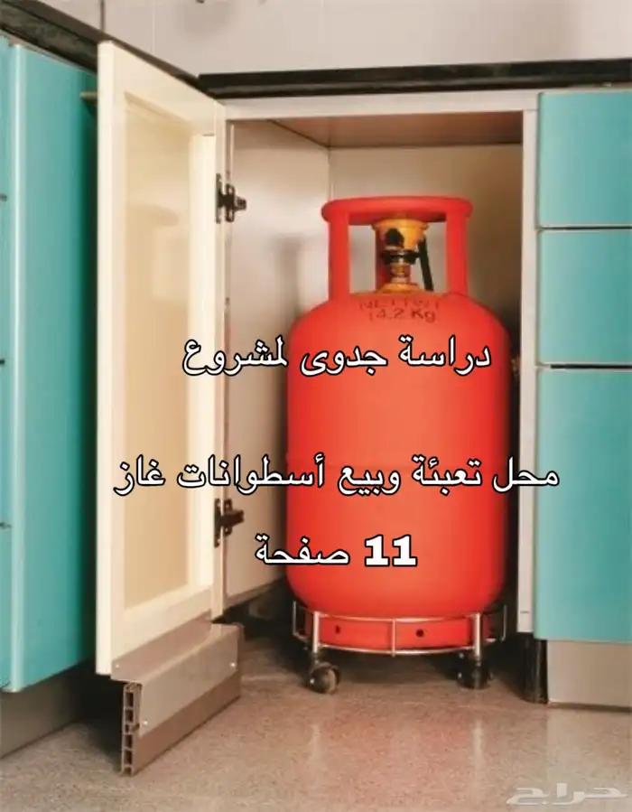 دراسة جدوى لمشروع محل أسطوانات 0