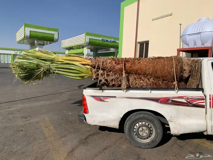 واشنطني زينه اطول الخشبة مترين 5