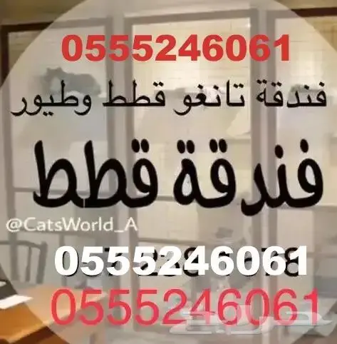 فندقة قطط وطيور حي المصيف الرياض - شاهد التقييمات 2