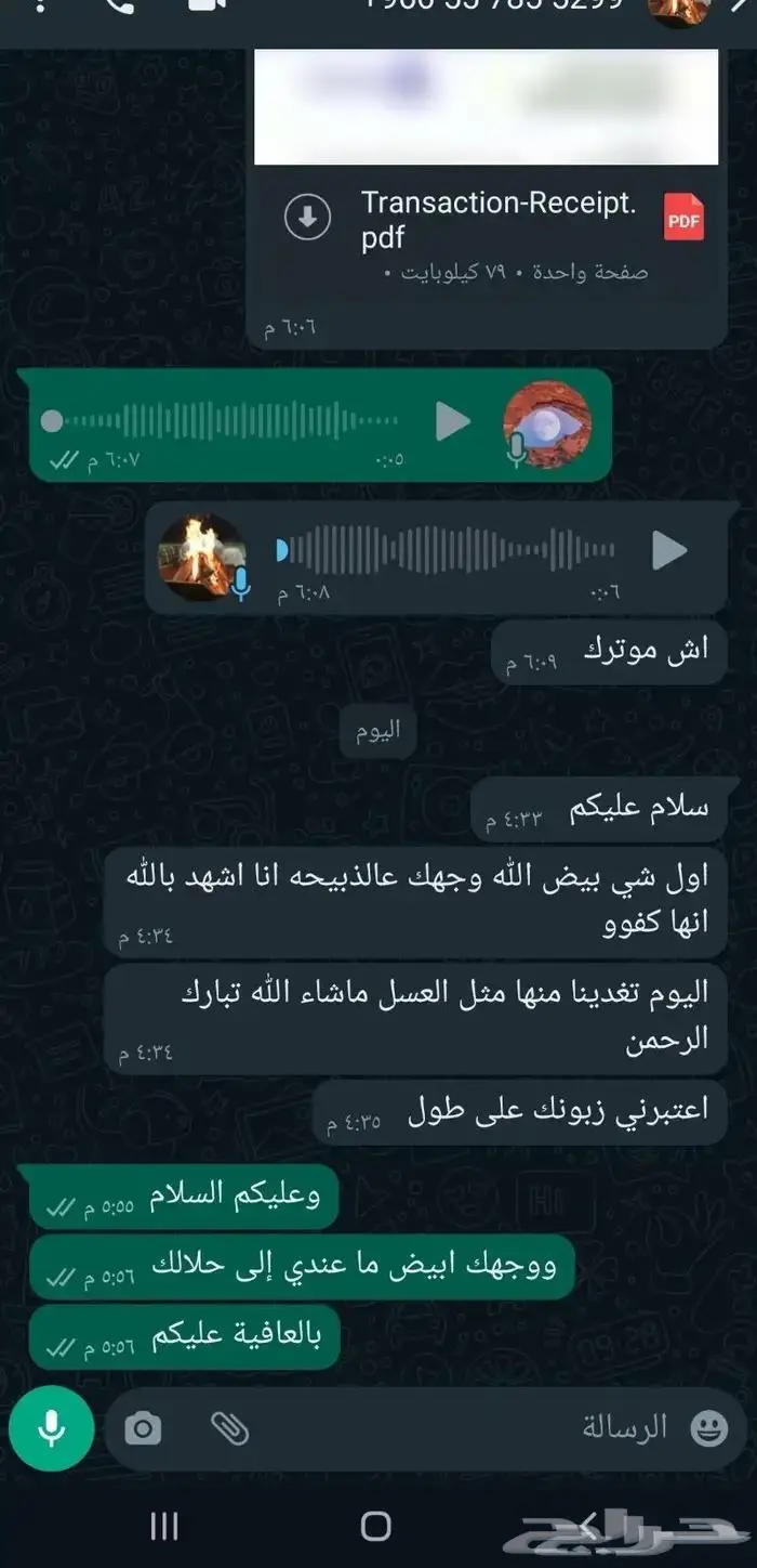 اقساط تابي وتمارا خرفان حريات فل على شعير وبرسيم 3