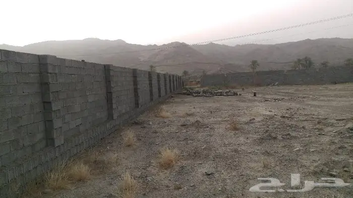 أرض بعداد كهرباء على شارعين في ضبيعة بمحافظة أضم 1