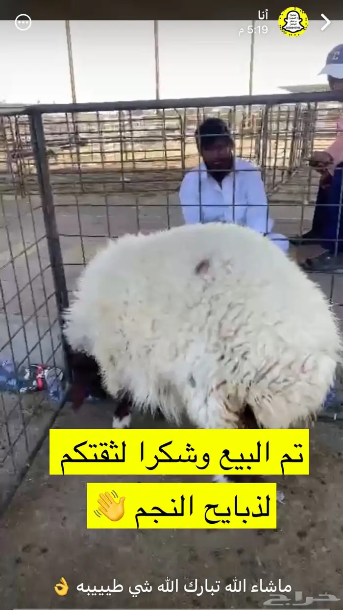 ذبايح الحفر 5