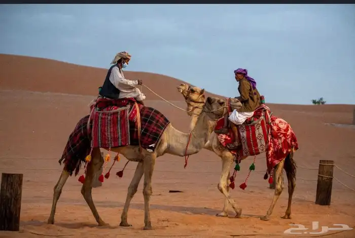 رحول ايجار 7