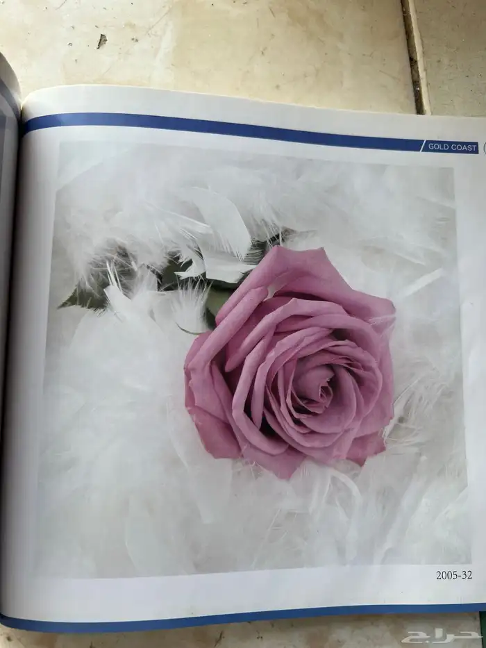 ستائر روال 6