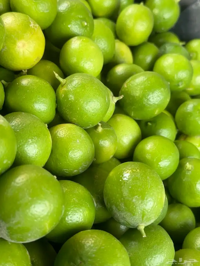 ليمون حساوي 8