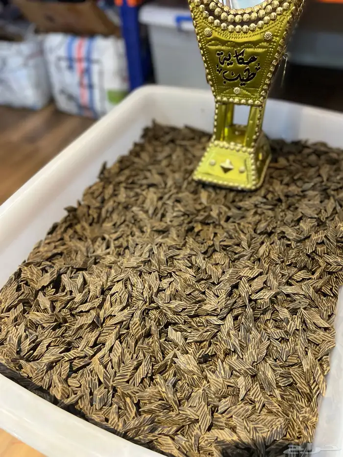 عود كمبودي تايقر طبيعي محسن ملكي (جمله) 0