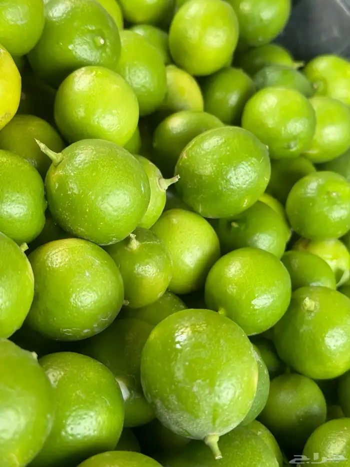 ليمون حساوي 6