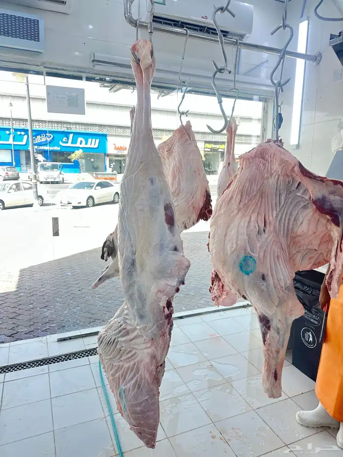 ملحمة نوادر الجزيرة للحوم الطازجة 70