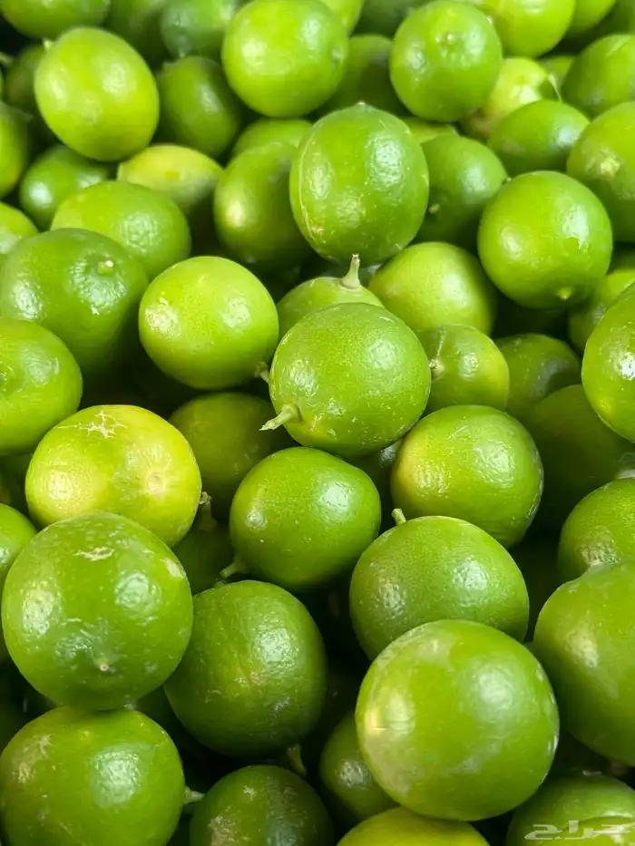 ليمون حساوي 2