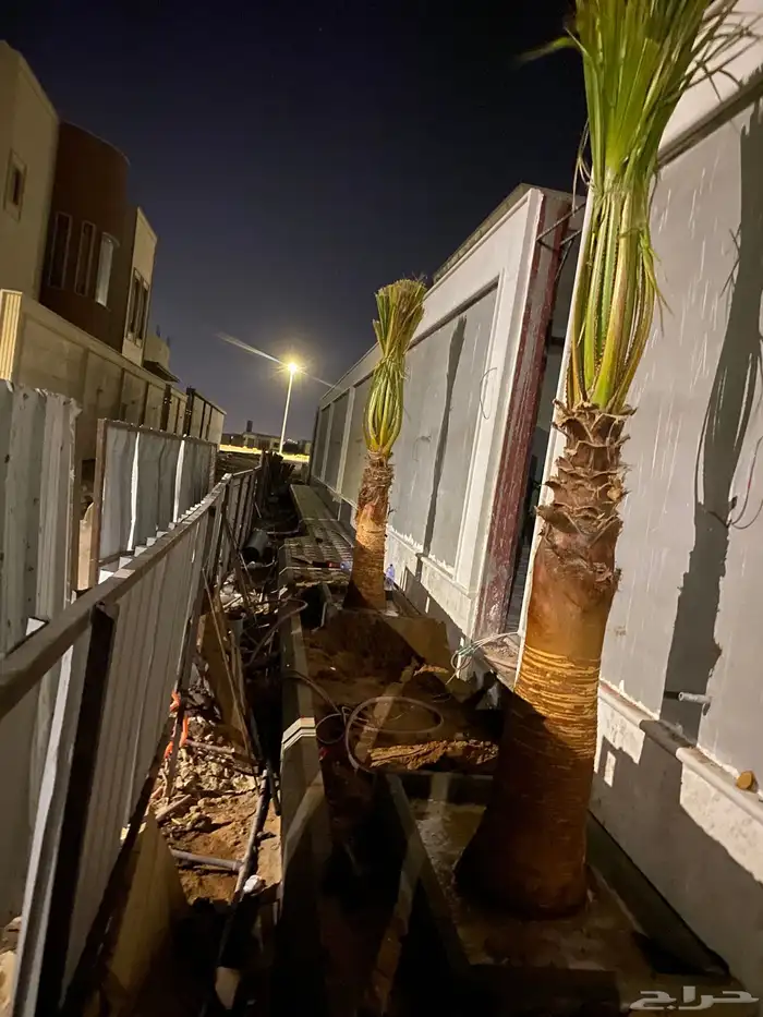 وشنطني زينه 3