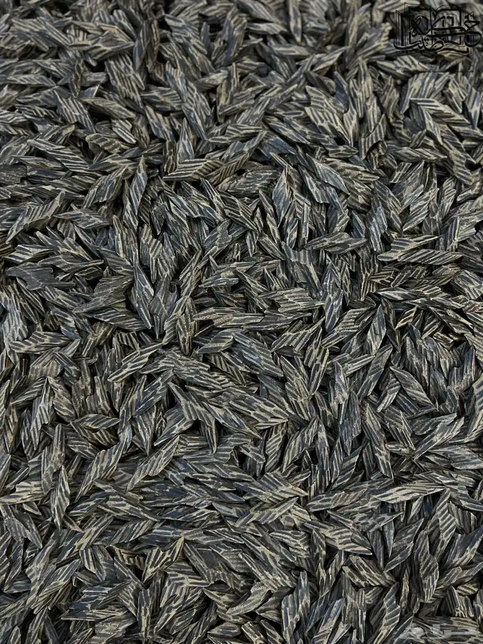 عود كمبودي تايقر طبيعي محسن ملكي (جمله) 1