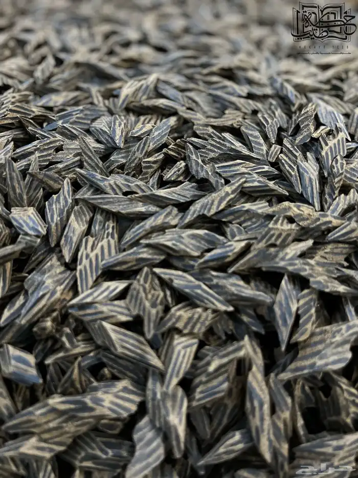 عود كمبودي تايقر طبيعي محسن ملكي (جمله) 3