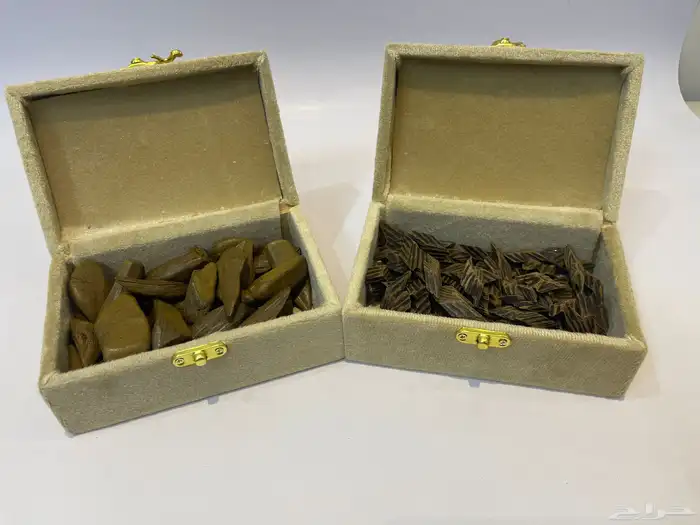 عود مروكي وتايقر 0