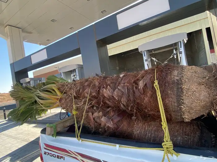 وشنطني زينه 4