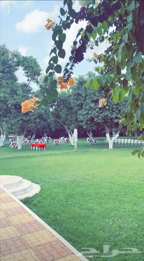 ماده اعلانيه للمهتمين بتربية الخيل والعناية بها 4