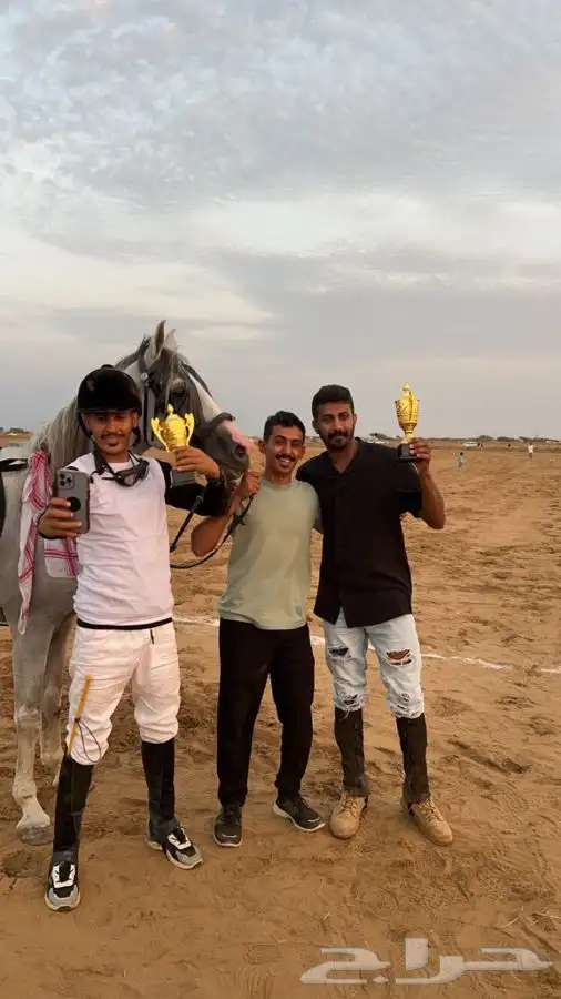 ماده اعلانيه للمهتمين بتربية الخيل والعناية بها 8