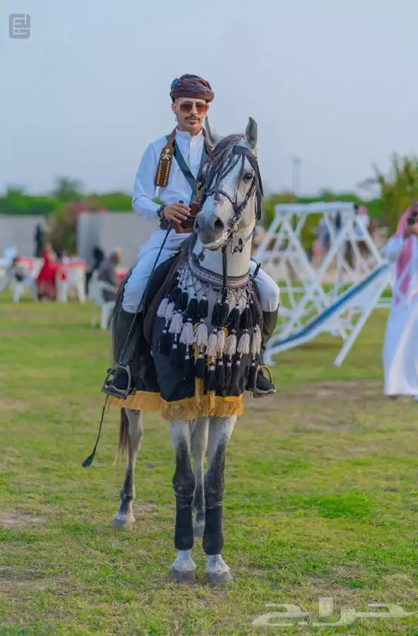 ماده اعلانيه للمهتمين بتربية الخيل والعناية بها 18