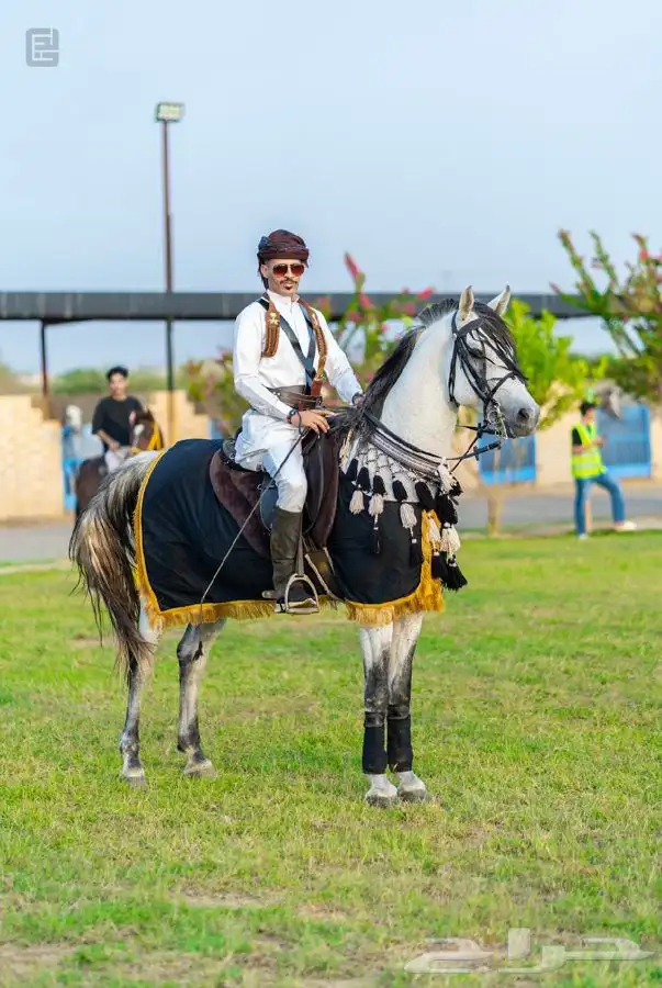 ماده اعلانيه للمهتمين بتربية الخيل والعناية بها 20