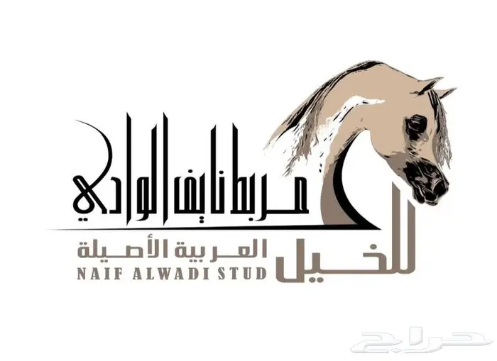 مصمم شعارات 6