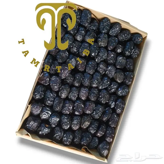 عجوة المدينة الفاخرة من أرض طيبة إلى جميع أنحاء المملكة 1