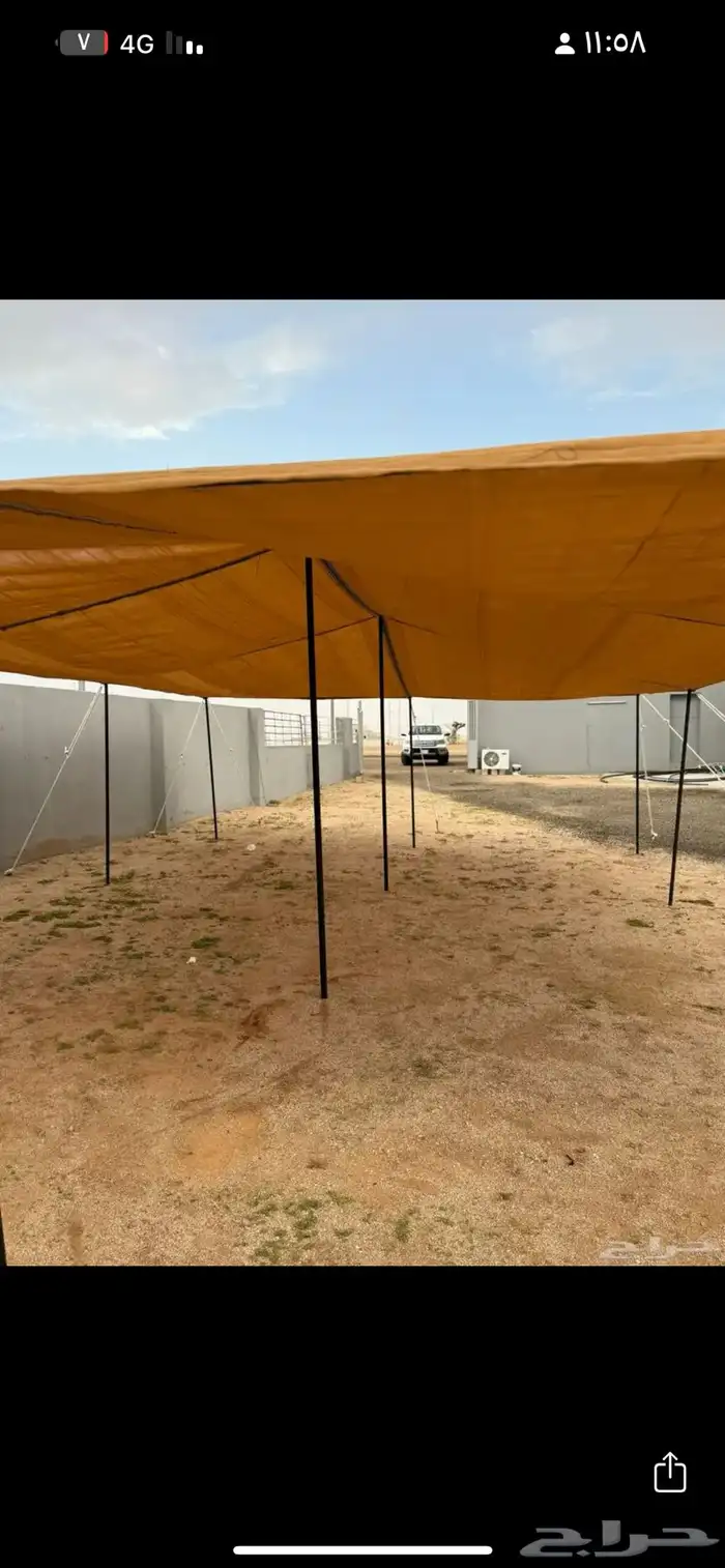 راويات حلال مضلات حلال 15