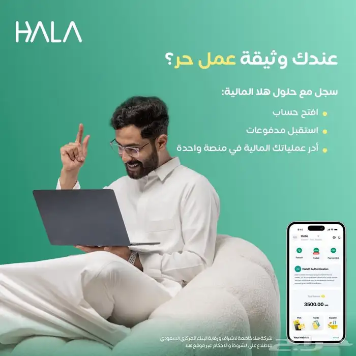 شركة هلا ( جهاز نقاط البيع) 0