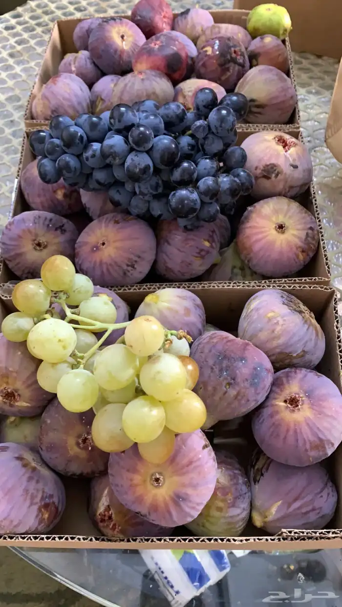 عنب حماط تين برشومي خوخ للبيع من المزرعه طازه بني سعد 9