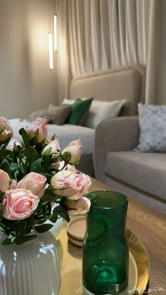 للإيجار اليومي شقة   استديو وحدات سكنية فاخرة VIP 0