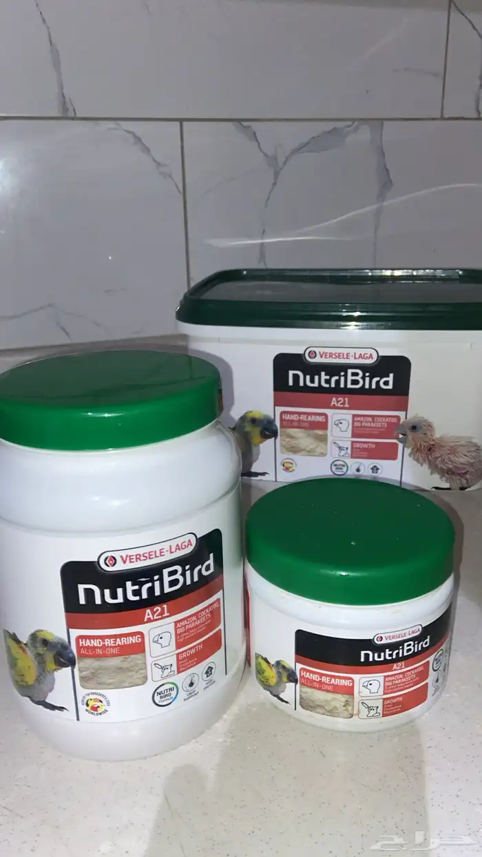 سيرلاك فيرسل لاقا وابر غر وهوزات سعر طيب 0