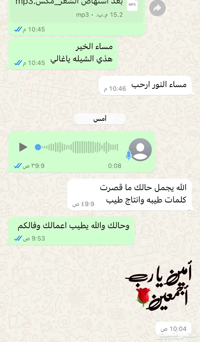 شيلات حماسيه جنوبيه عرضه باقل الاسعار 1
